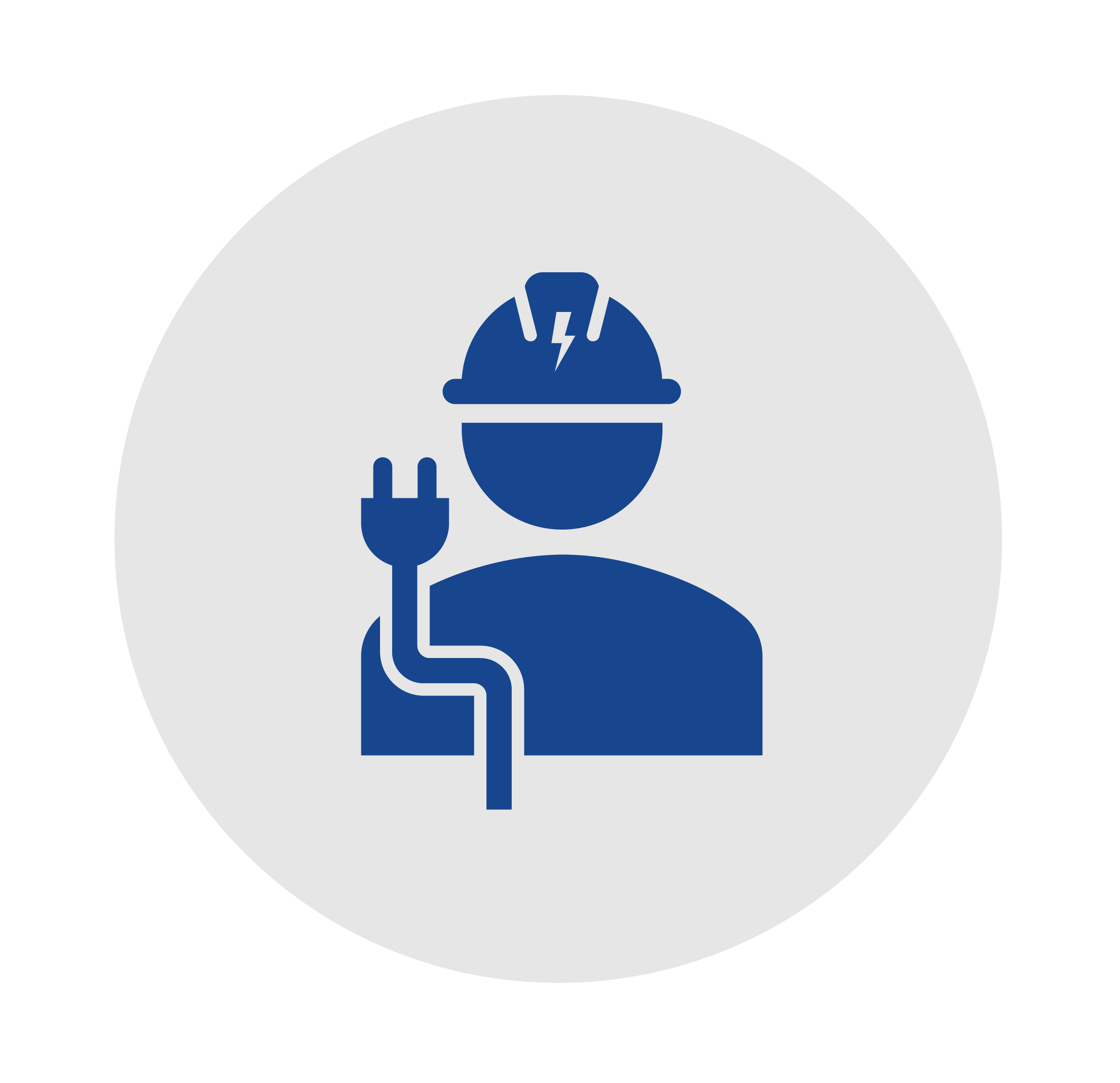 Live Classroom__electric management_