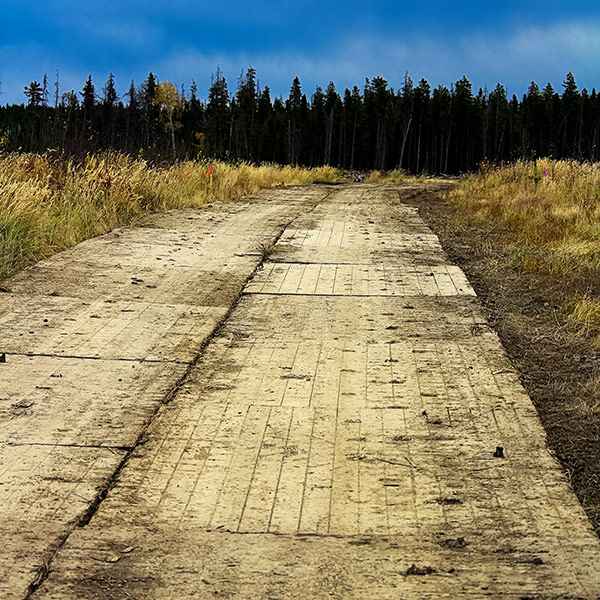 civil_services_access_matting